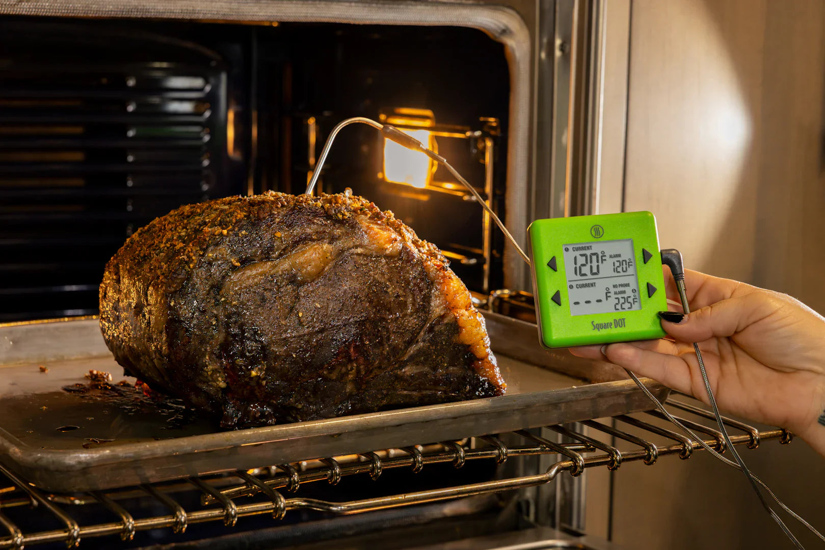 Cooking Alarm Thermometers