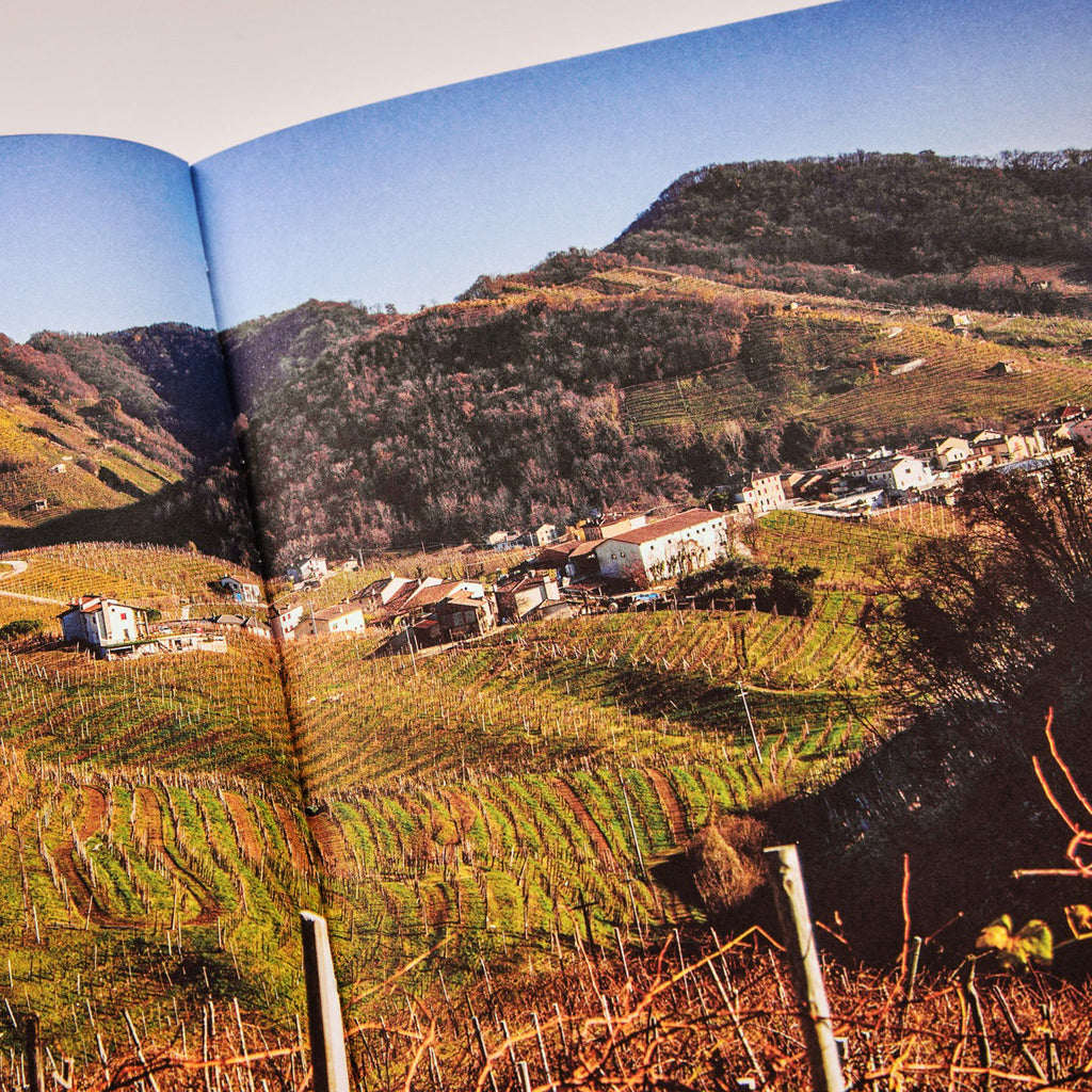 Fire + Wine Backyard Pizza: Perfect Pizza for Any Outdoor Oven or Grill, with Inspired Wine Pairings by Mary Cressler and Sean Martin