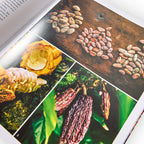 Making Chocolate: From Bean to Bar to S'more: A Cookbook by Dandelion Chocolate