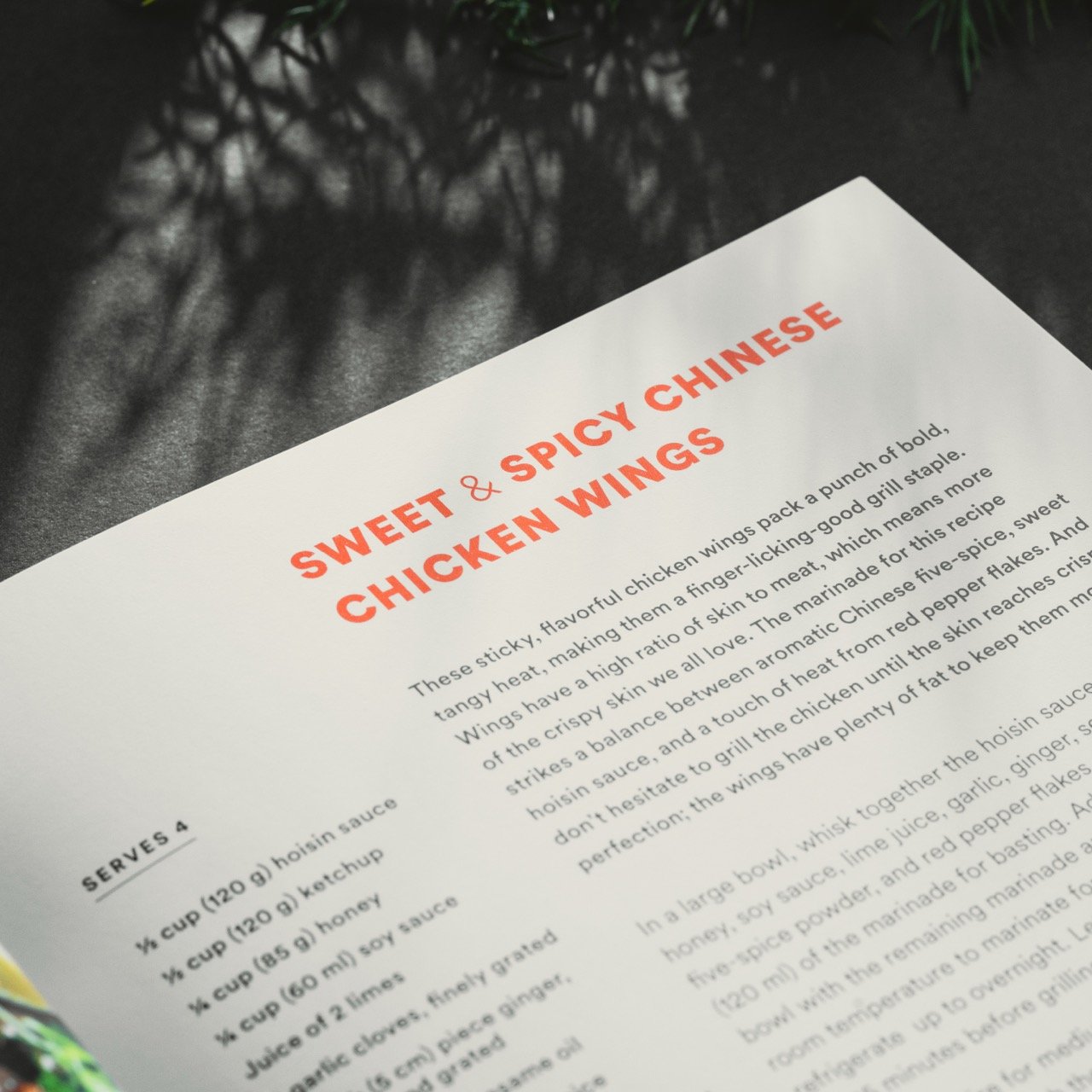 Firepit Feast, Adventurous Recipes for Live-Fire Cooking by Diana Yen