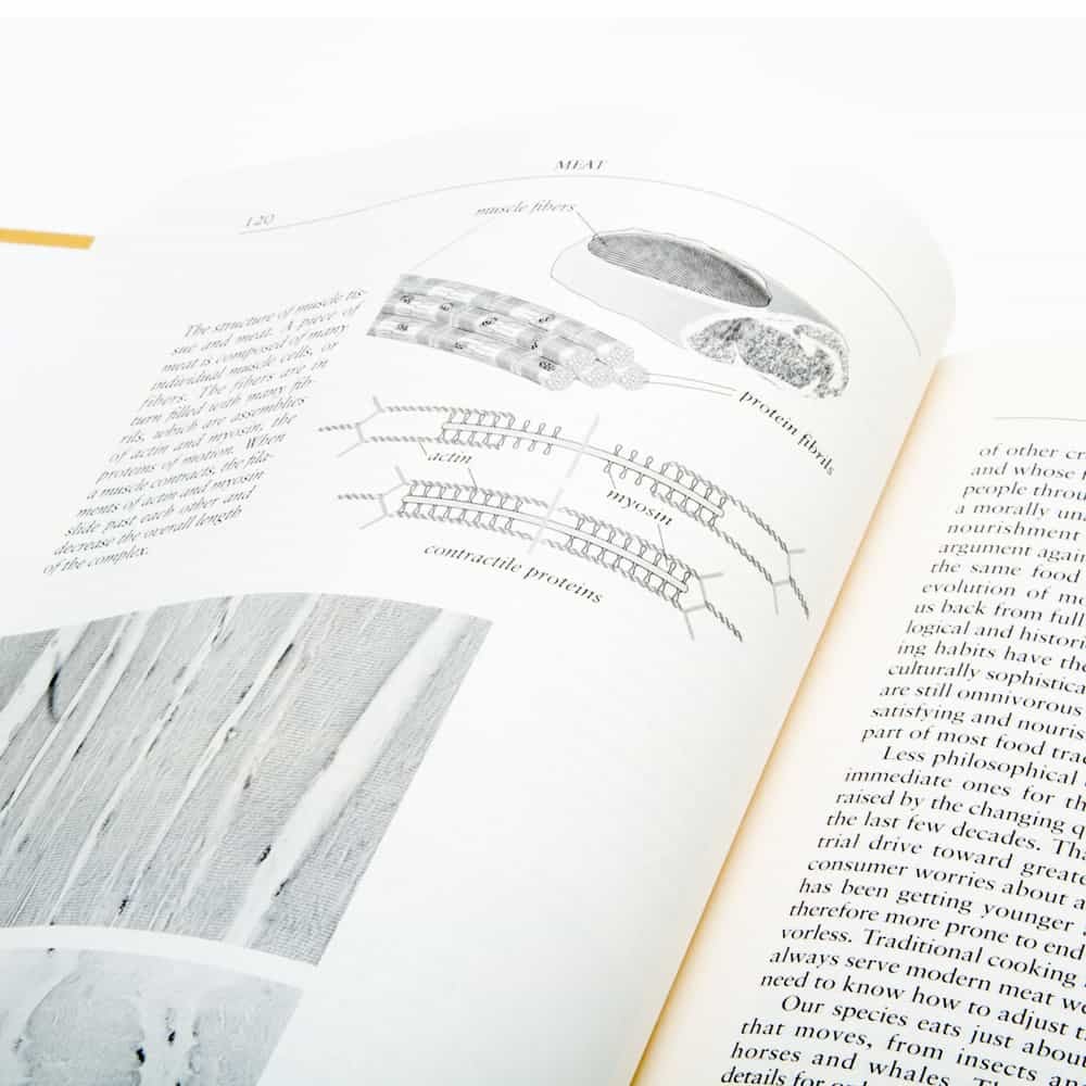 On Food and Cooking: The Science and Lore of the Kitchen by Harold McGee