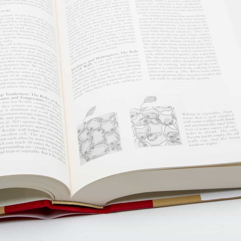 On Food and Cooking: The Science and Lore of the Kitchen by Harold McGee