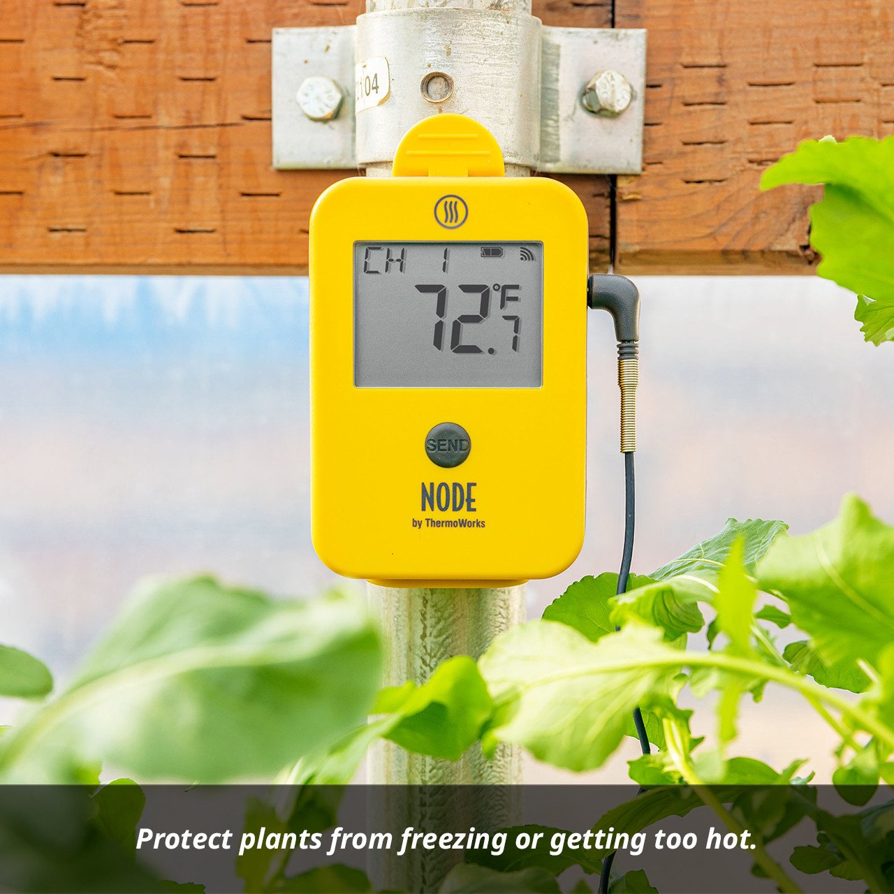 NODE® Wi-Fi Temperature and Temperature/Humidity Monitor