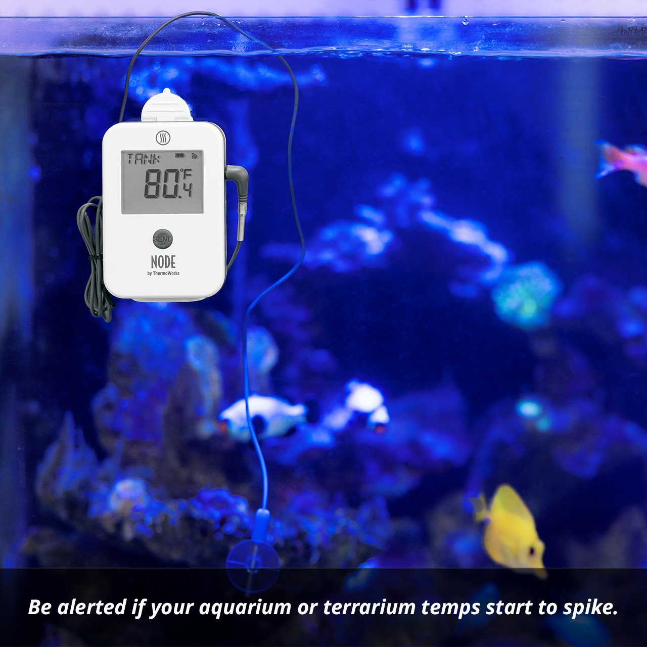 NODE® Wi-Fi Temperature and Temperature/Humidity Monitor