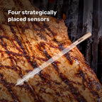 RFX™ Wireless Probe Starter Kit