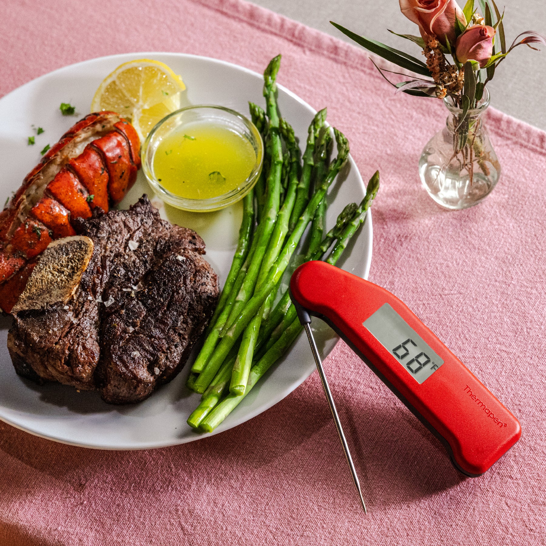 Classic Super-Fast® Thermapen®
