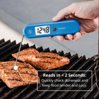 SIZZLE™: Digital Instant-Read Thermometer
