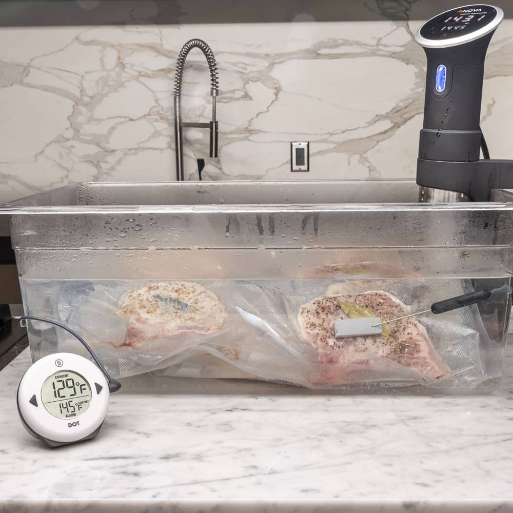 ThermoWorks DOT Sous Vide Kit - Thumbnail 4