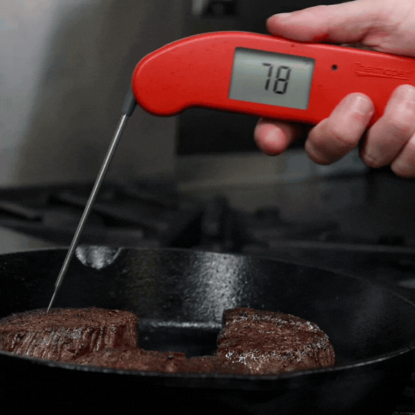 Thermapen® ONE