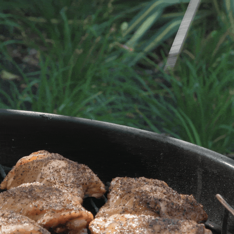 Thermapen® NANO