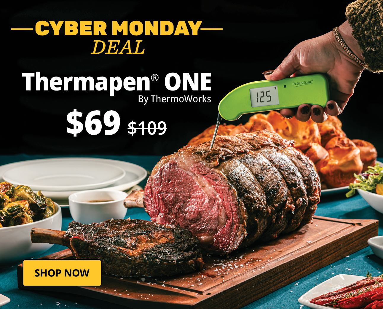 $69 Thermapen ONE