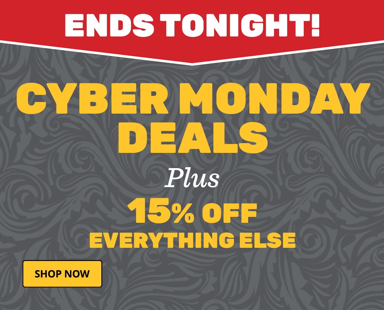 Cyber Monday Specials Ends