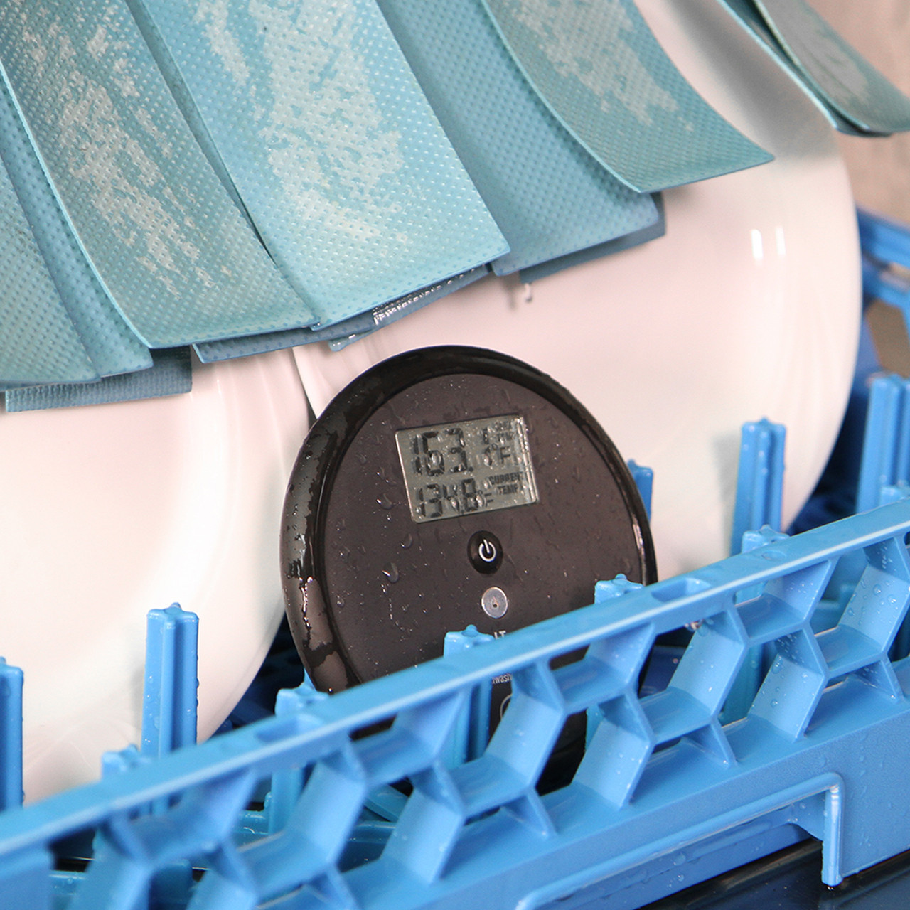 DishTemp in tray of dishes