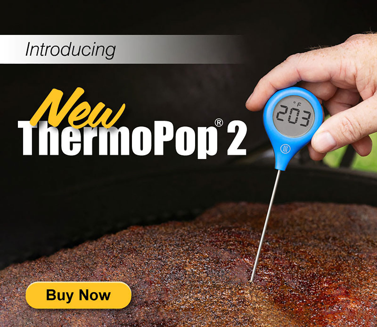 ThermoPop 2