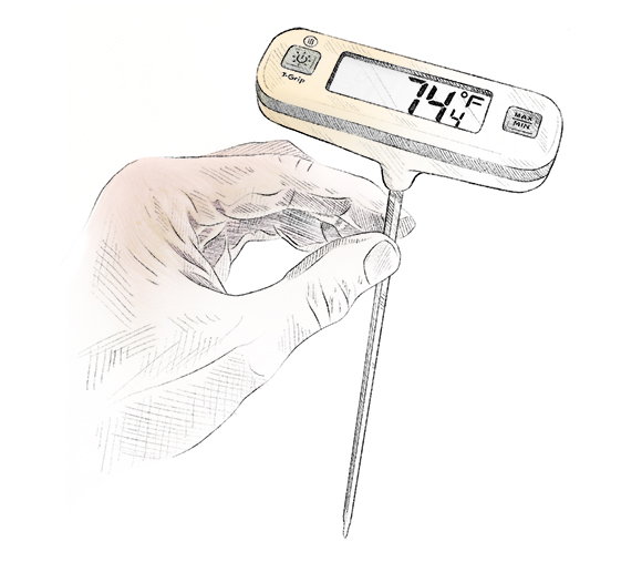 Thermometer for food. stock illustration. Illustration of safe