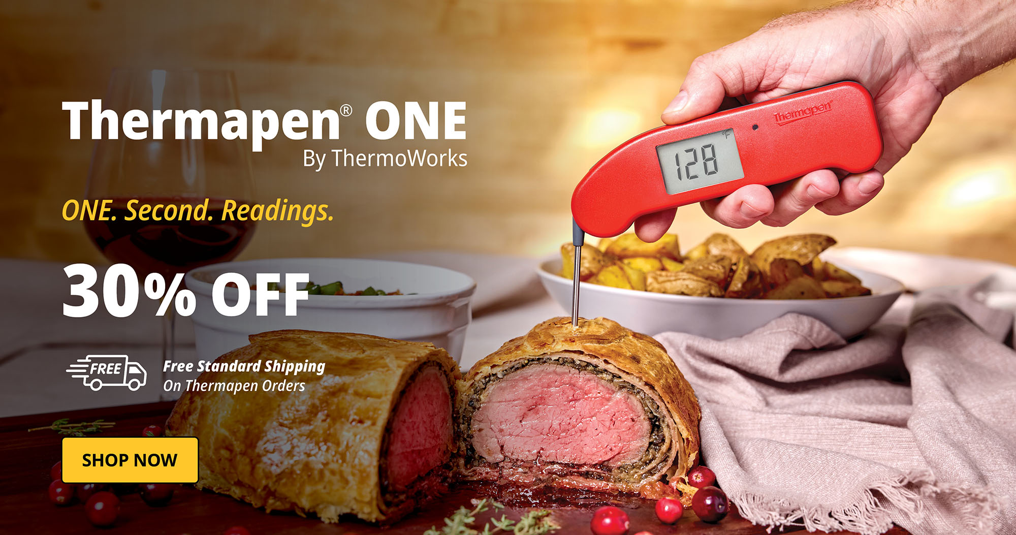 Thermapen ONE