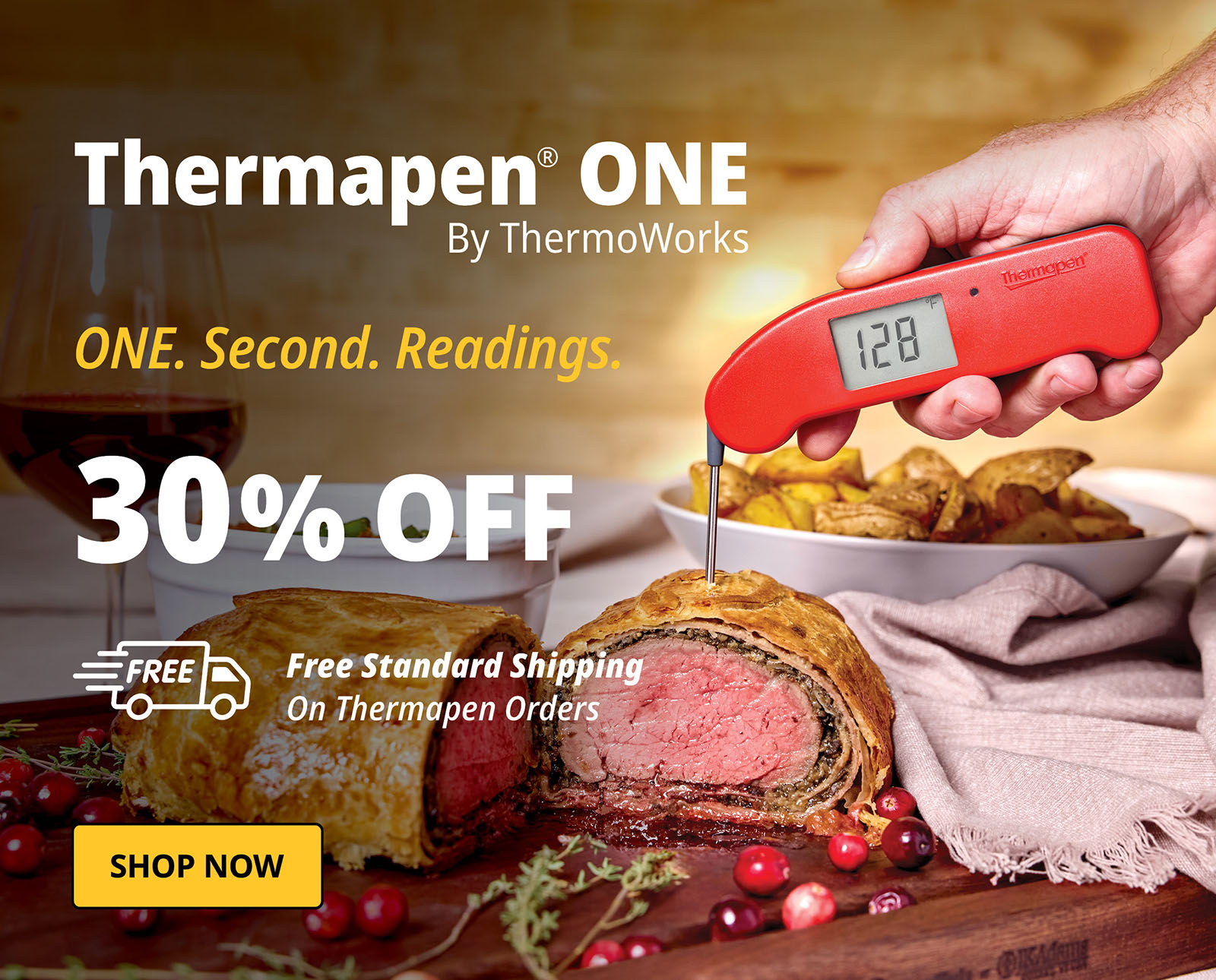 Thermapen ONE