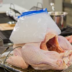 Icing Breasts